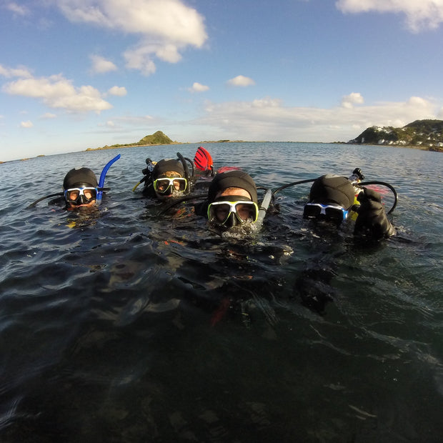 Open Water Diver Course