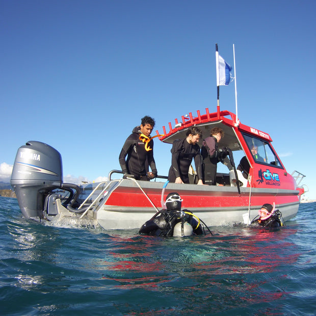 Dive Wellington Boat Trips & Charter